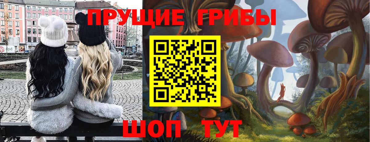 Галлюциногенные грибы мицелий Смоленск
